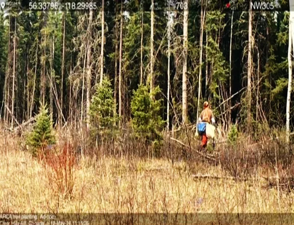 arca-esg-sec-01 ARCA Forrest planting